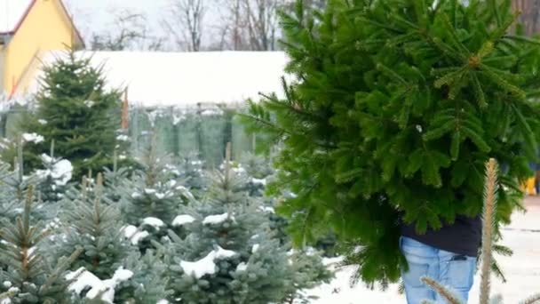 Jarmark Bożonarodzeniowy Żywą Jodłą Trees Man Niesie Targu Bożonarodzeniowym Żywy — Wideo stockowe