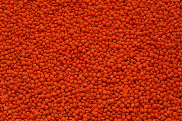 レンチル グローツ野菜タンパク質 豆製品だ 乾燥したレンズ状のオレンジがクローズアップされます シリアルとマメ科植物 炭水化物食品 — ストック写真