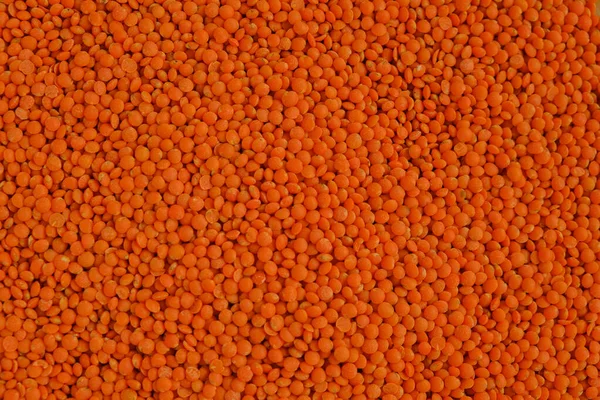 レンチル グローツ野菜タンパク質 豆製品だ 乾燥したレンズ状のオレンジ色がクローズアップされます — ストック写真