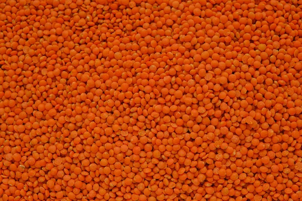 Stock image lentil background.vegetable protein. Bean products. Dry lentil orange grits close-up.Cereals and legumes. carbohydrate food.