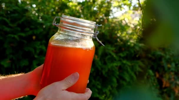 Honey Glass Jar Sun Summer Garden Healthy Natural Sweetness Organic — Stock Video