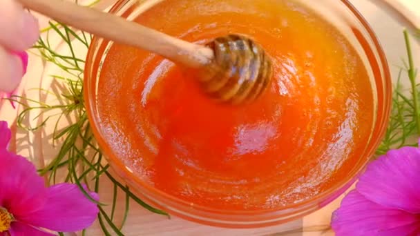 Mel Flores Rosa Devagar Motion Honey Flui Para Baixo Uma — Vídeo de Stock