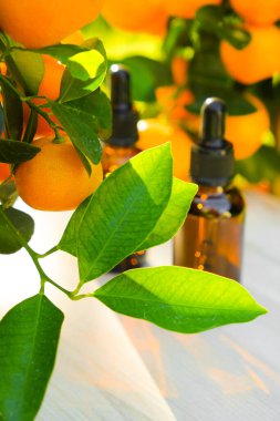  Turunçgil yağı. Beyaz, pejmürde bir tahtanın üzerinde yağlı ve mandallı cam kahverengi şişeler. Doğal organik saf yağ. Organik doğal eko kozmetik. 