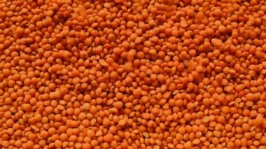 Mercimek arka planda büyür. Yakından mercimek akar. Kuru mercimek, portakal aromalı mısır gevreği ve baklagiller. Karbonhidrat yiyeceği. 4k görüntü