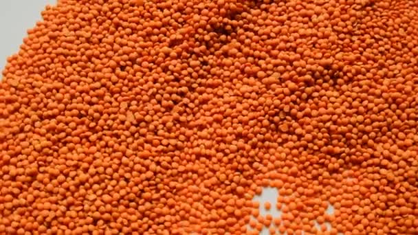 Lentejas Groats Fondo Alimentos Carbohidrato Lentejas Secas Sémola Naranja Primer — Vídeo de stock