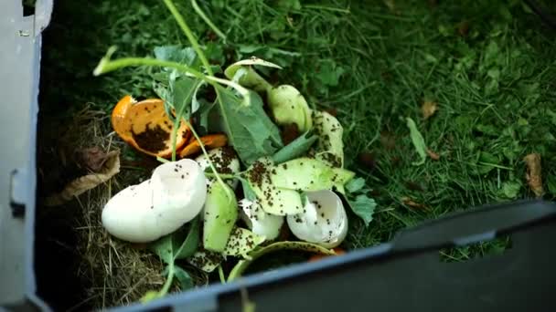 Pojemnik Kompostem Organicznym Ręka Zamyka Pokrywę Pojemnika Zielonym Kompostem Materiał — Wideo stockowe