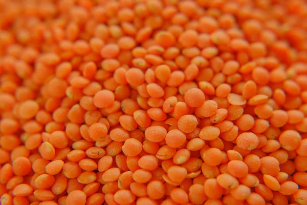 Narancs Lencse Szemcsék Közeli Lentil Groats Háttér Gabonafélék Hüvelyesek Szénhidrát — Stock Fotó