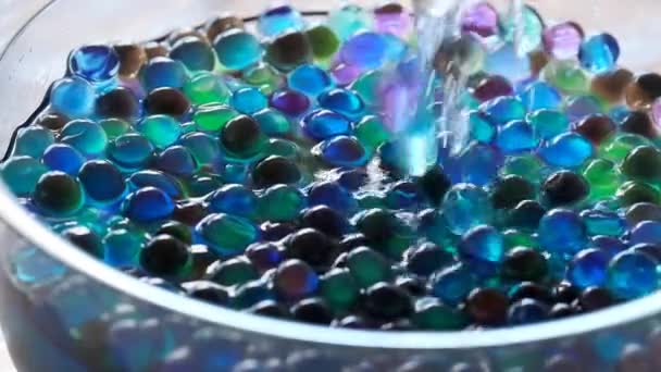 Hidrogél Orbeez Sokszínű Orbiz Golyók Ömlenek Egy Csészébe Kék Zöld — Stock videók