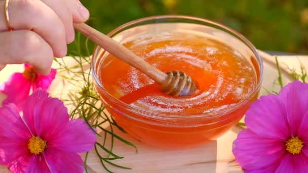 花蜜とピンクの花 ゆっくりとした動き 蜂蜜は木の棒からガラスのボウルに流れ落ちる新鮮な夏の蜂蜜 高品質4K映像 — ストック動画