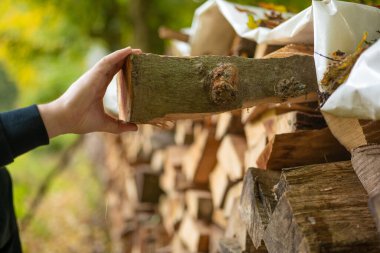  Firewood.Eller odunluktan odun topluyor. Katı yakıt. Erkek eller odunlu bir yerden odun topluyor. Avrupa 'da ısıtma mevsimi.. 