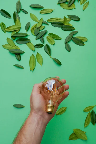 Green Energy Source Light Bulb Male Hand Green Leaves Green — Stock Photo, Image