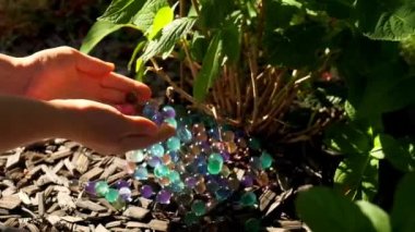 Bahçıvanlık için Orbeez Hidrogel Topları elleri güneşteki ortanca çalılarının altına hidrojel topları döker..