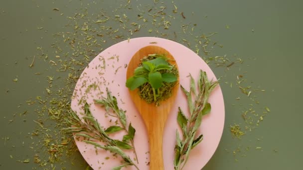 Stevia Taze Yaprakları Tahta Bir Kaşıkta Zeytin Arkaplanında Pembe Bir — Stok video