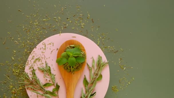 Stevia Taze Yaprakları Pembe Yuvarlak Bir Podyumda Kuru Stevia Beslenme — Stok video
