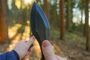 Bıçak fırlatmak. Spor ve hobi. Köknar ormanı arka planına el atmak için metal bıçaklar. Açık hava sporları. Ormanda aktif sporlar. 
