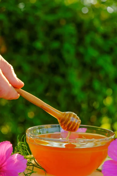 Blütenhonig Heilungsdessert Transparenter Honighonig Fließt Von Einem Holzstab Eine Glasschale — Stockfoto