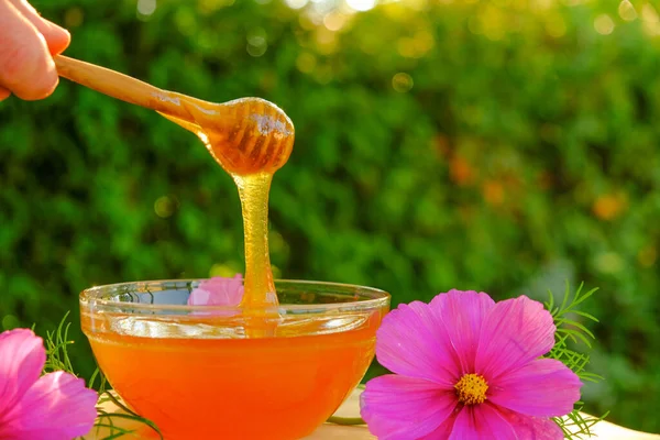 flower summer honey. Transparent honey honey flows down from a wooden stick into a glass bowl on a wooden table.beekeeping products. Healing dessert.