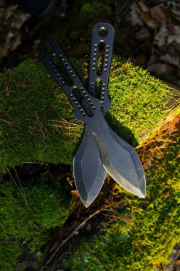 Siyah, yosunlu bir kütüğe bıçak fırlatıyor. Liman ve hobi anlayışı. Spor aletleri.. 