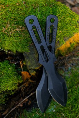 Güneşli bir ormanda yosunlu bir kütüğe bıçak atmak.