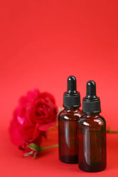 Rose essential oil. Organic oil in glass bottles set and red rose on red background.Aromatherapy and cosmetics concept.Organic natural rose oil.Organic bio cosmetics