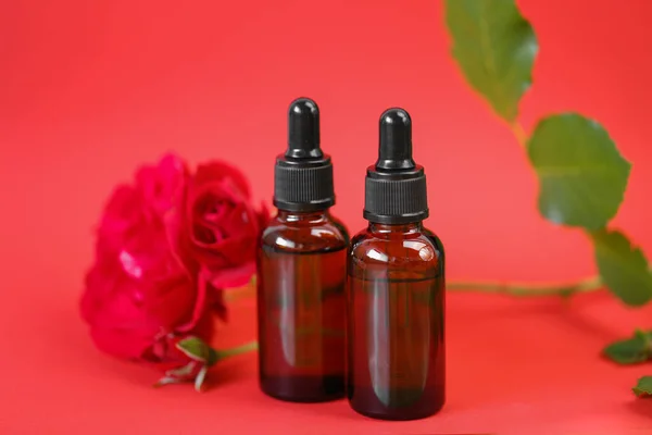 Organic rose oil in brown glass bottles set and red rose on red background.Aromatherapy and cosmetics concept.Organic natural rose oil.Organic bio cosmetics