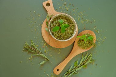  Yuvarlak bir fincanda stevia yeşil dal ve tahta kaşık. Şeker yerine Stevia rebaudiana. Stevia bitkisi. Alternatif düşük kalorili sebze tatlandırıcısı. Doğal beslenme tatlandırıcı.