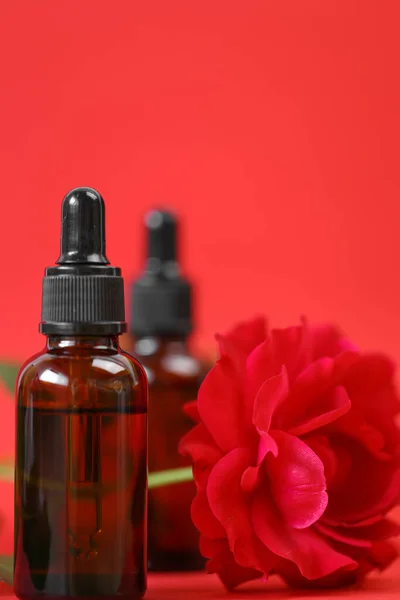 rose oil in brown glass bottles set and red rose on red background.Aromatherapy and cosmetics concept.Organic natural rose oil.Organic bio cosmetics