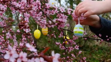 Paskalya sokak dekorasyonu. Madalyalı Paskalya ağacı. Childs 'ın elleri dekoratif yumurtaları pembe dallara takıyor. Bahar dini bayramı. Hristiyan ve Katolik geleneği. Yüksek kalite 4k görüntü