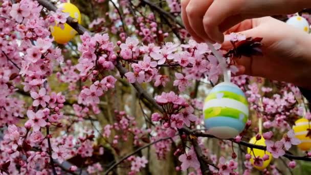 Wielkanocna Dekoracja Ulicy Ozdobione Drzewo Wielkanocne Childs Ręce Ubierać Dekoracyjne — Wideo stockowe