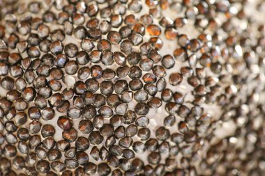 Duvar kağıdı metalik, tozlu bej ve gri renkler. Metalik parlak dokular. Taneli dokular. Gümüş bronz tonlarda güzel arkaplan.. 