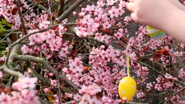Easter Street Decoration Decorated Easter Tree High Quality Footage — Wideo stockowe