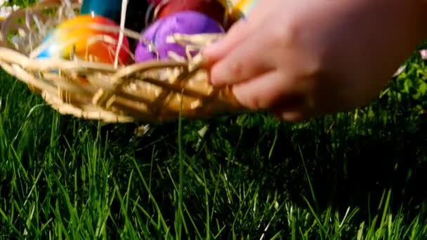 Easter Egg Hunt Childrens Hands Put Basket Easter Eggs Green — Stockvideo