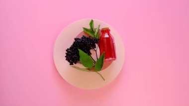 Elderberry syrup.Sambucus syrup in a glass bottle and a bunch of elderberries on a pink round podium on a bright pink background.Green pharmacy and homeopathy. 4k footage