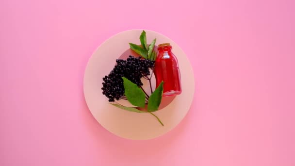 Elderberry Syrup Sambucus Syrup Glass Bottle Bunch Elderberries Pink Podium — Vídeos de Stock