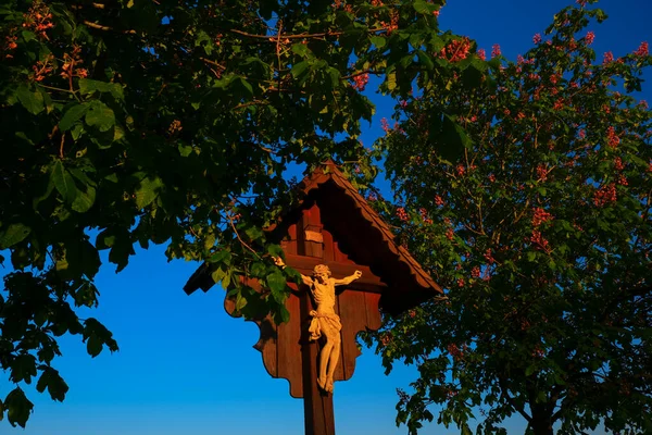 Jesus Christ on the wood cross in blooming chestnut trees on blue sky background.Christian and catholic faith symbol.Religious symbol.Easter holiday sign.street cross