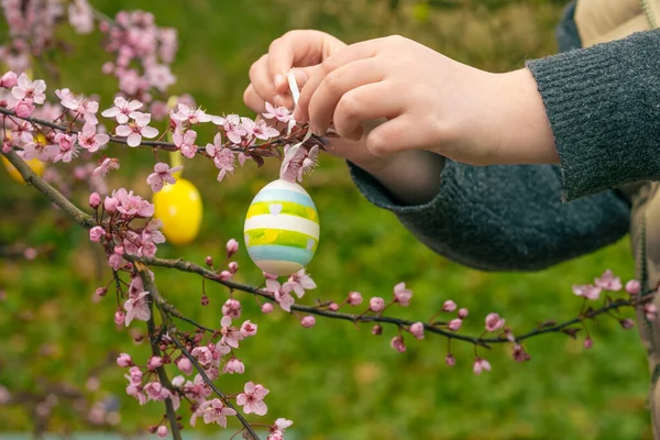 Decorated Easter tree.Spring religious holiday. Childs hangs yellow decorative eggs on blooming pink branches.Easter decorations in the garden. Easter tradition. Christian and Catholic tradition.
