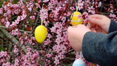 Paskalya sokak dekorasyonu. Madalyalı Paskalya ağacı. Childs 'ın elleri dekoratif yumurtaları pembe dallara takıyor. Bahar dini bayramı. Hristiyan ve Katolik geleneği. Yüksek kalite 4k görüntü