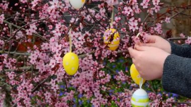 Easter decoration. Decorated Easter tree. Childs hands dress decorative eggs on blooming pink branches. Spring religious holiday. High quality 4k footage