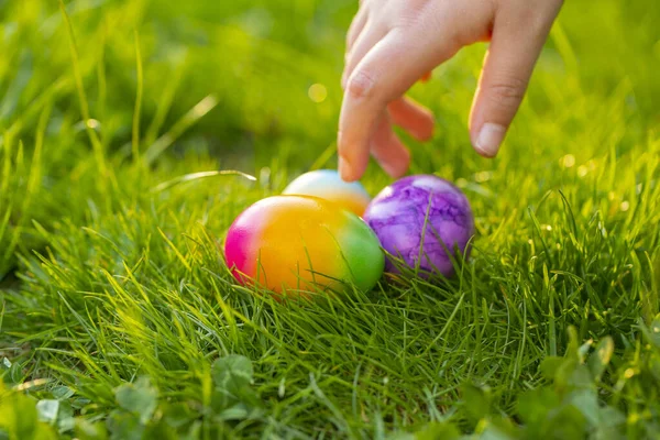 Easter Egg.Finding colored eggs in the grass.Childrens hands collect bright eggs in the green grass.Easter holiday tradition.Spring religious holiday.Easter food.