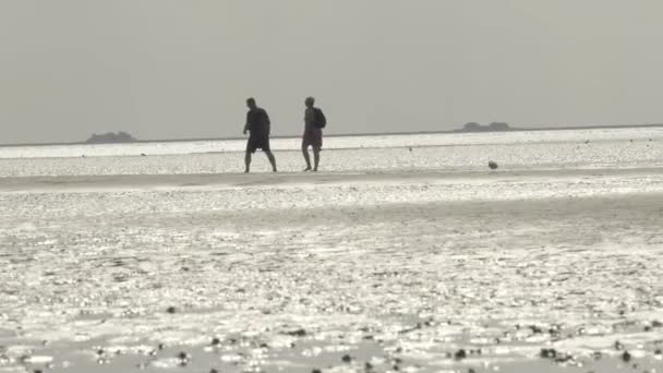 Dune Watt Silhouette Persone All Orizzonte Della Spiaggia Gente Cammina — Video Stock