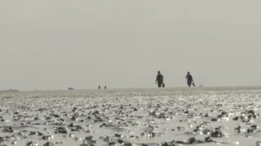 Wadden Denizi. İnsanlar sarkık sahil boyunca yürüyor. Yavaş hareketler. Ufukta, Almanya 'nın sarkık Kuzey Denizi' nin kumlu tabanı. Alman Frizya Adaları. Watt kumulları.. 