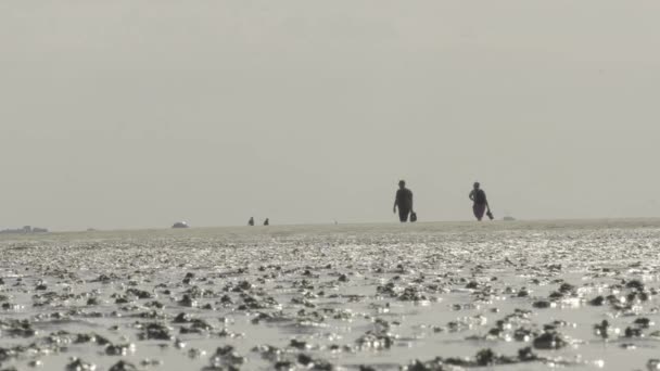 ワッデン海人々は城壁のあるビーチに沿って歩きます スローモーション ビーチの地平線の人々のシルエット ドイツのフリジア諸島 ワット砂丘 — ストック動画