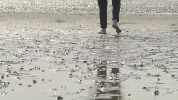 在德国北海的瓦特沙丘上行走的特写镜头赤脚 费尔岛弗里斯兰日耳曼群岛 瓦特沙丘 娱乐和海上度假 4K镜头 — 图库视频影像