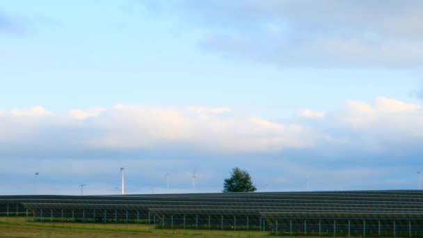 Renewable Energy Field Solar Panel Green Eco Energy Alternative Energy — Video Stock