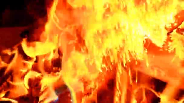 Magic Fire Halloween Bonfire Magical Colorful Flame Multicolored Flames Sparks — Stock video