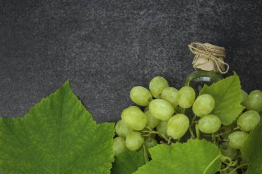 Grape seed oil bottle and green grapes with leaves on a gray slate background.organic oils.Base cosmetic oil for massage and care for face and body.