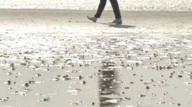Wadden Denizi. Almanya 'nın Kuzey Denizi' nde çıplak ayakla yürüyorum. Frisian Adaları, Almanya. Eğlence ve deniz tatili. 4k görüntü