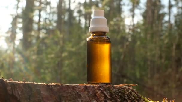 Herbal Tincture Bottle Stump Rays Sun Forest Footage — стоковое видео