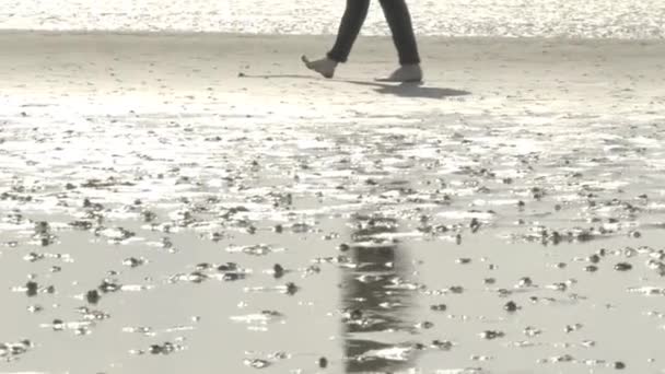 ワッデン海 ドイツのワット砂丘の北の海を歩く素足 ドイツのフリジア諸島 4K映像 — ストック動画