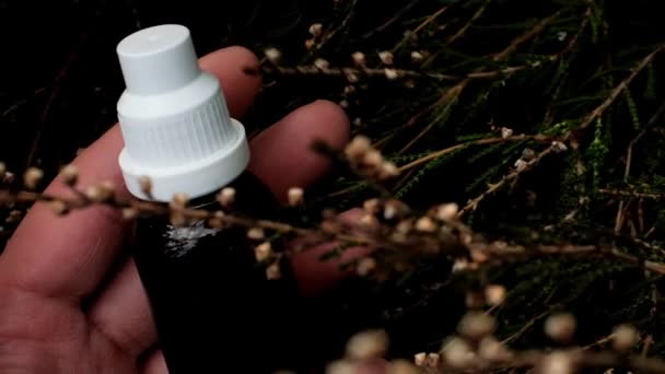 天然药物 在异教徒手中的草药药水 顺势疗法 天然草本疗法 草本植物和花卉的美丽和健康 4K镜头 — 图库视频影像